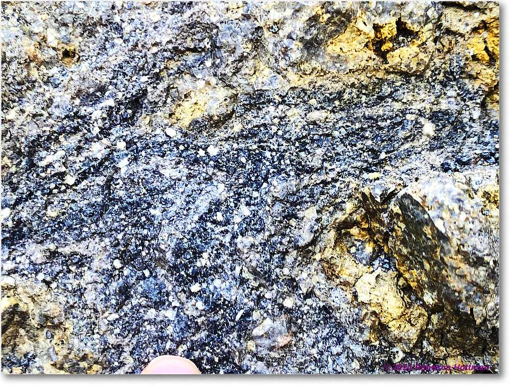 Yellowstone_Jul28Sun_IMG_5116 copy