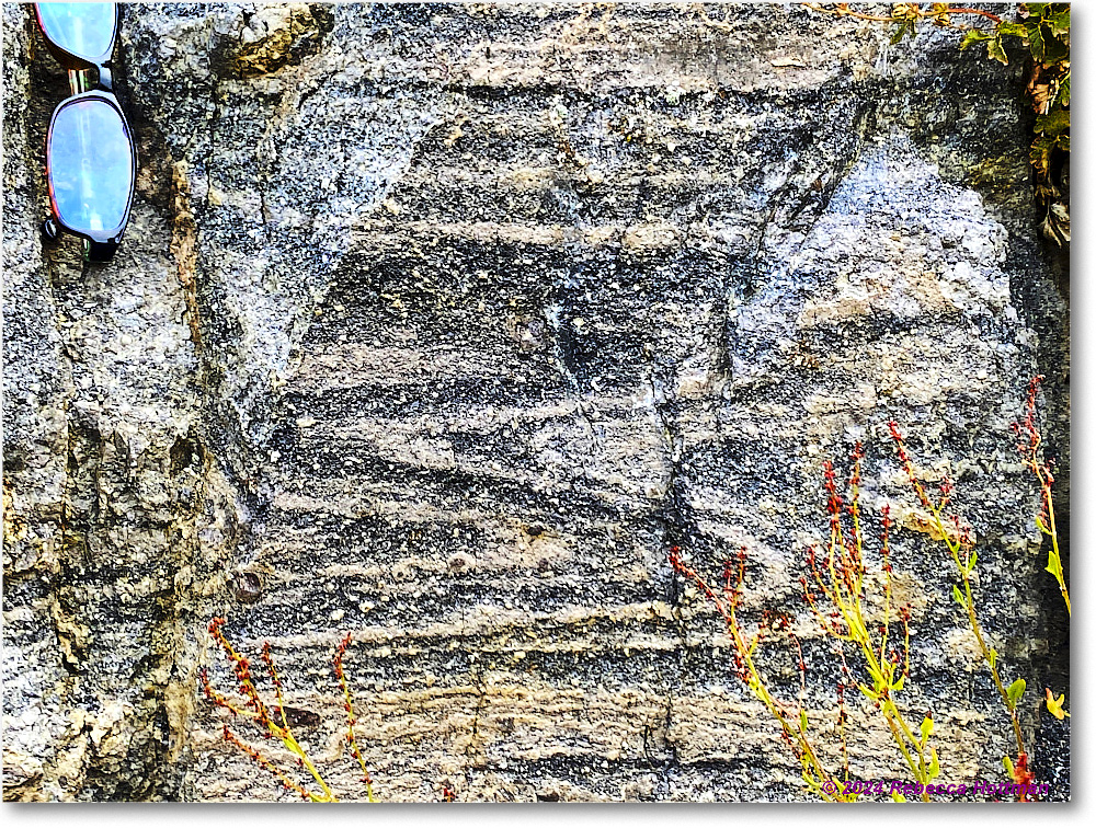 Yellowstone_Jul28Sun_IMG_5118 copy