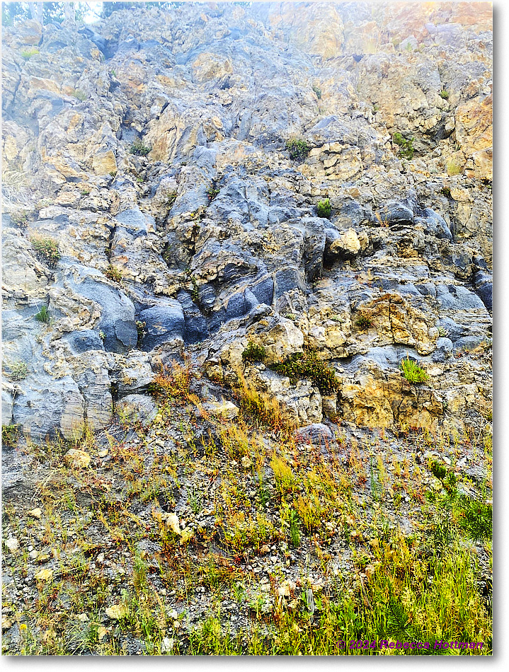 Yellowstone_Jul28Sun_IMG_5124 copy