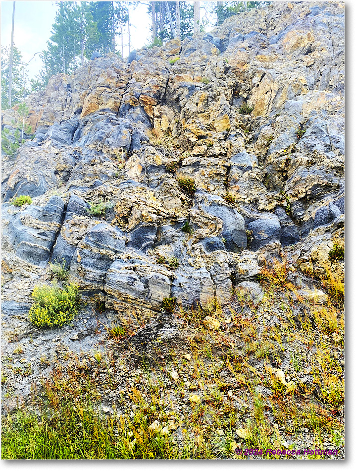 Yellowstone_Jul28Sun_IMG_5125 copy