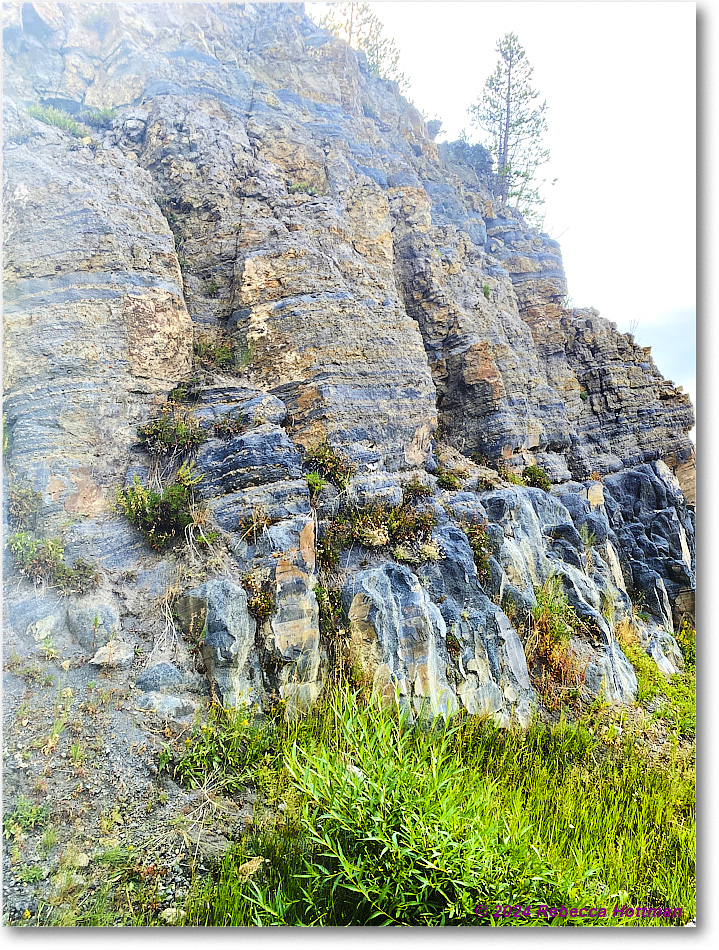 Yellowstone_Jul28Sun_IMG_5126 copy