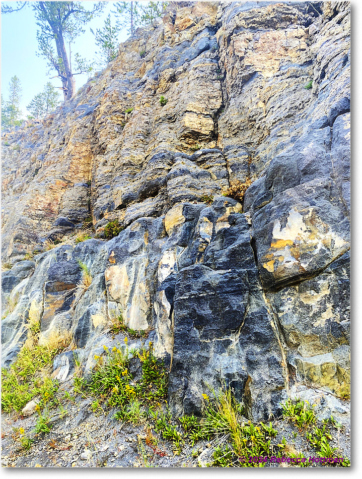 Yellowstone_Jul28Sun_IMG_5127 copy