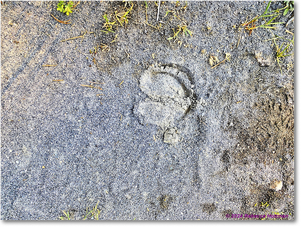 Yellowstone_Jul28Sun_IMG_5128 copy