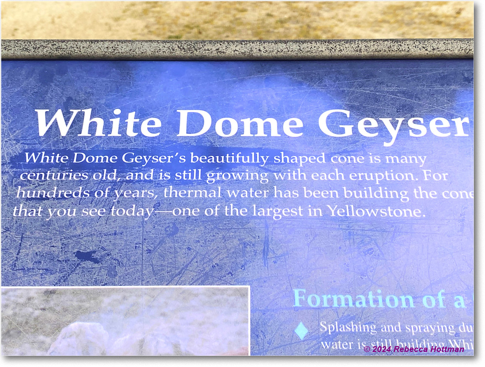 Yellowstone_Jul28Sun_IMG_5132 copy