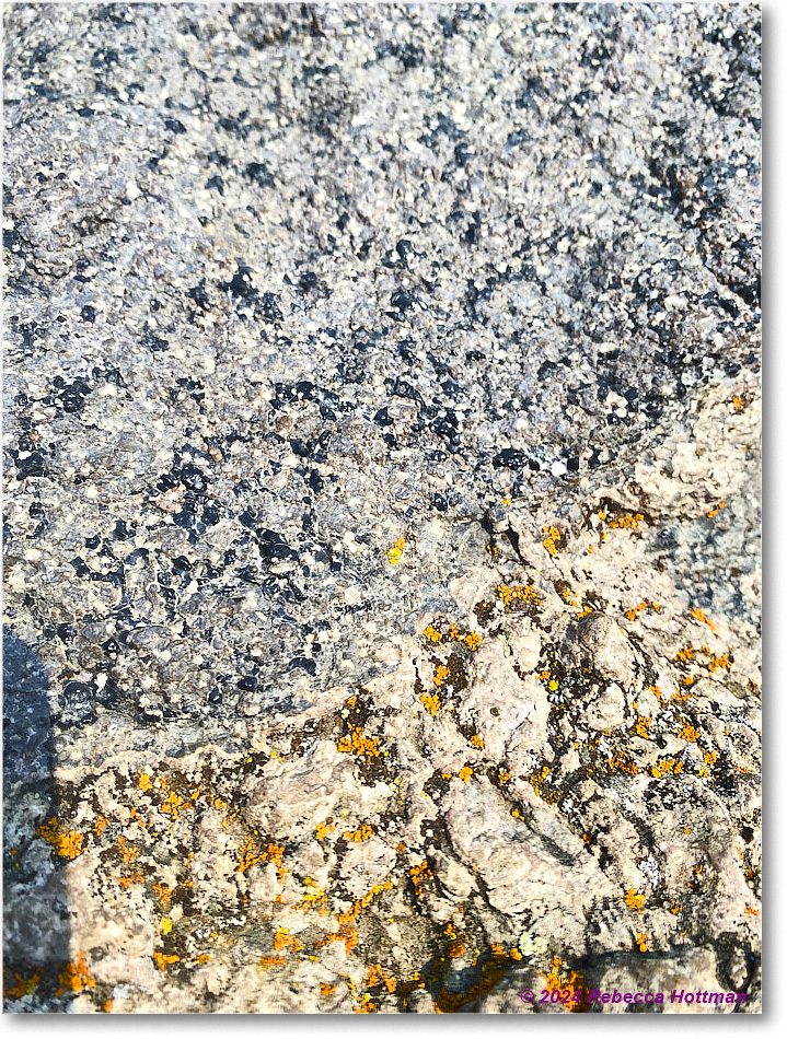 Yellowstone_Jul28Sun_IMG_5171 copy