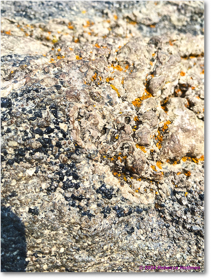 Yellowstone_Jul28Sun_IMG_5172 copy