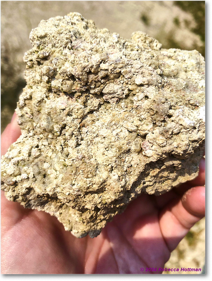 Yellowstone_Jul28Sun_IMG_5173 copy