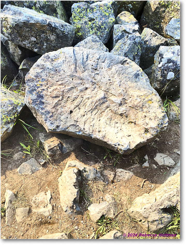 Yellowstone_Jul28Sun_IMG_5189 copy