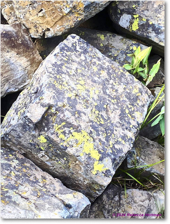 Yellowstone_Jul28Sun_IMG_5192 copy