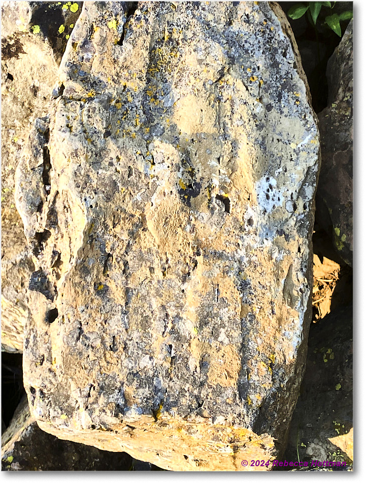 Yellowstone_Jul28Sun_IMG_5193 copy