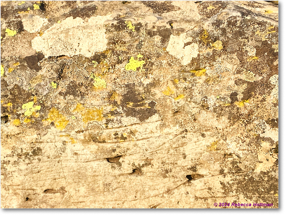 Yellowstone_Jul28Sun_IMG_5194 copy