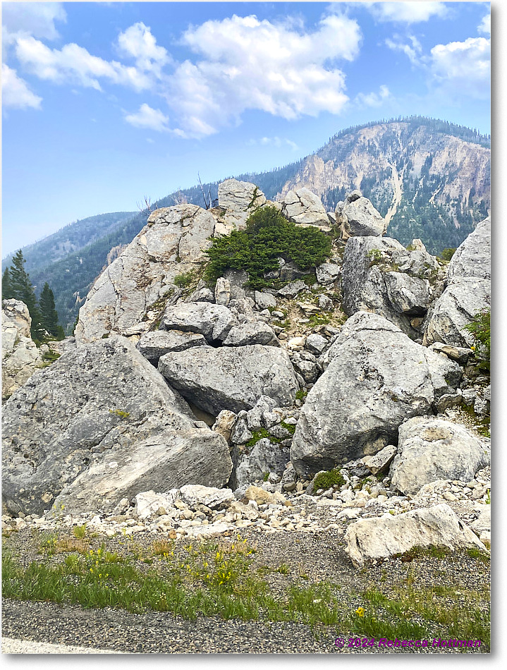 Yellowstone_Jul28Sun_IMG_5197 copy