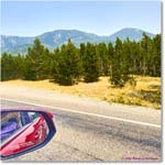 Yellowstone_Jul28Sun_IMG_5157 copy