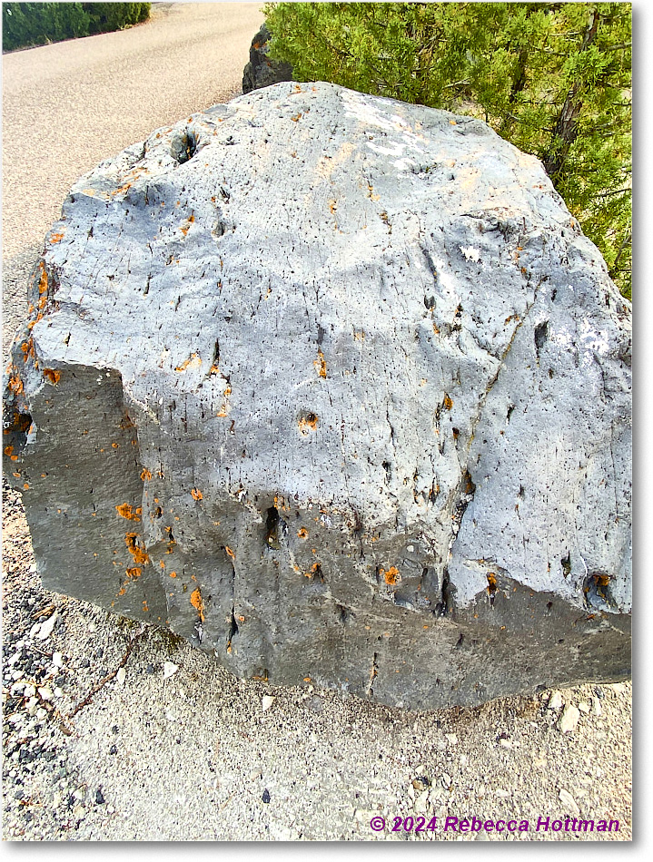 Yellowstone_Jul29Mon_IMG_5203