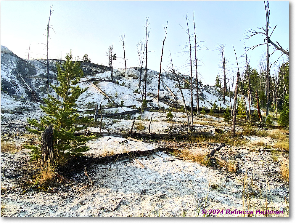 Yellowstone_Jul29Mon_IMG_5207