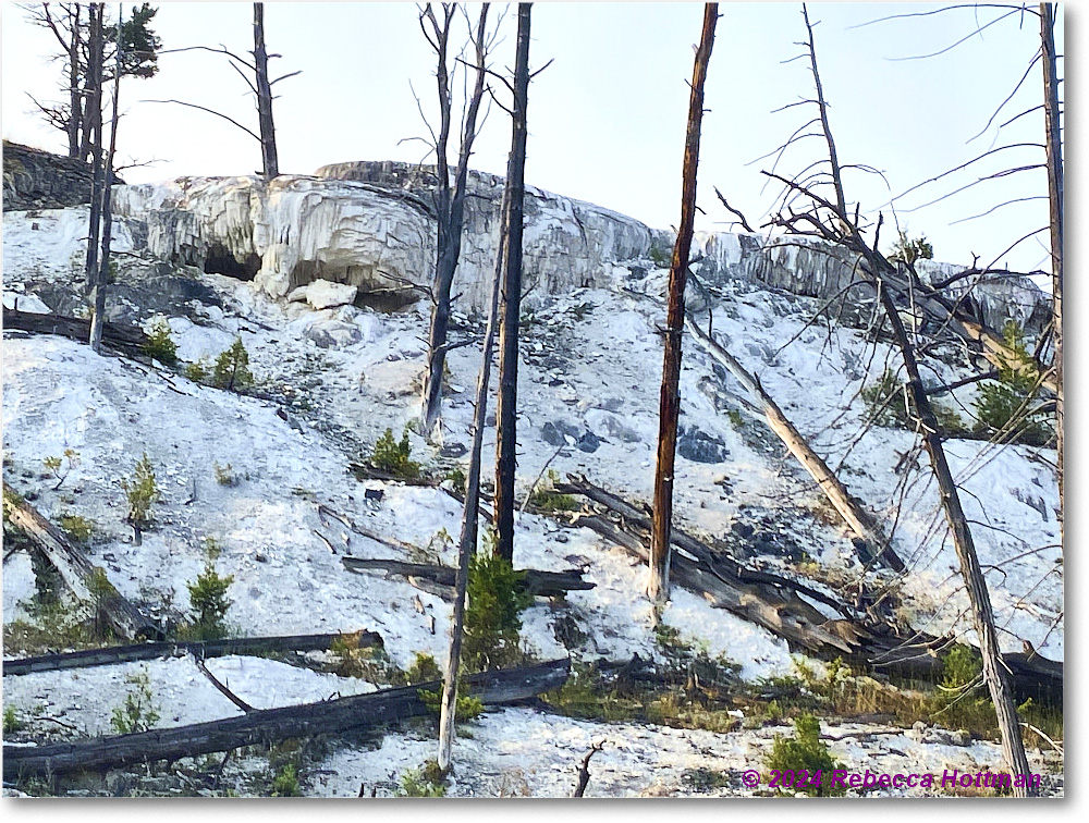 Yellowstone_Jul29Mon_IMG_5208