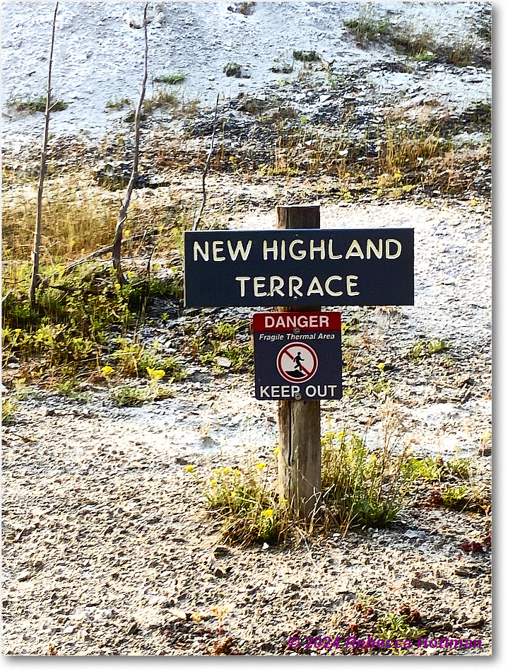 Yellowstone_Jul29Mon_IMG_5209