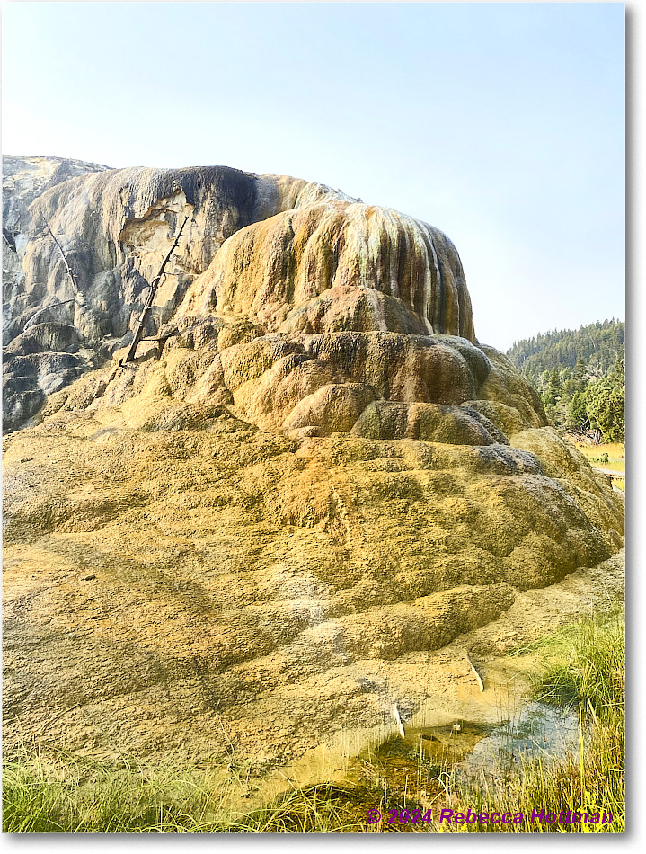 Yellowstone_Jul29Mon_IMG_5216