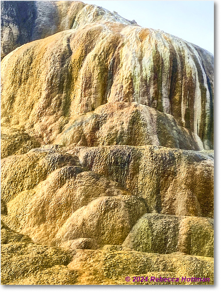 Yellowstone_Jul29Mon_IMG_5217