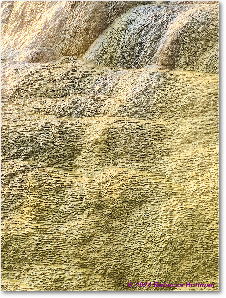 Yellowstone_Jul29Mon_IMG_5218