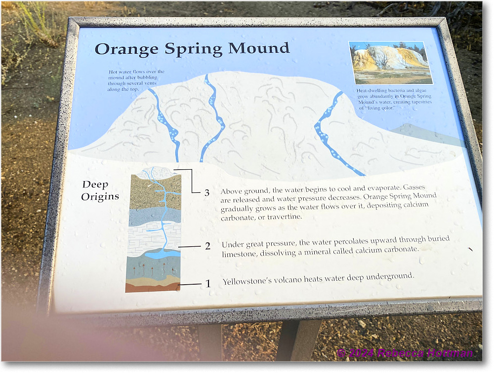 Yellowstone_Jul29Mon_IMG_5220