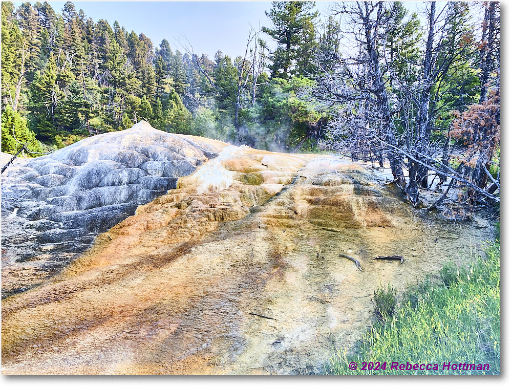 Yellowstone_Jul29Mon_IMG_5221