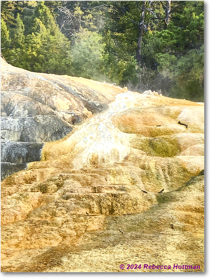 Yellowstone_Jul29Mon_IMG_5222