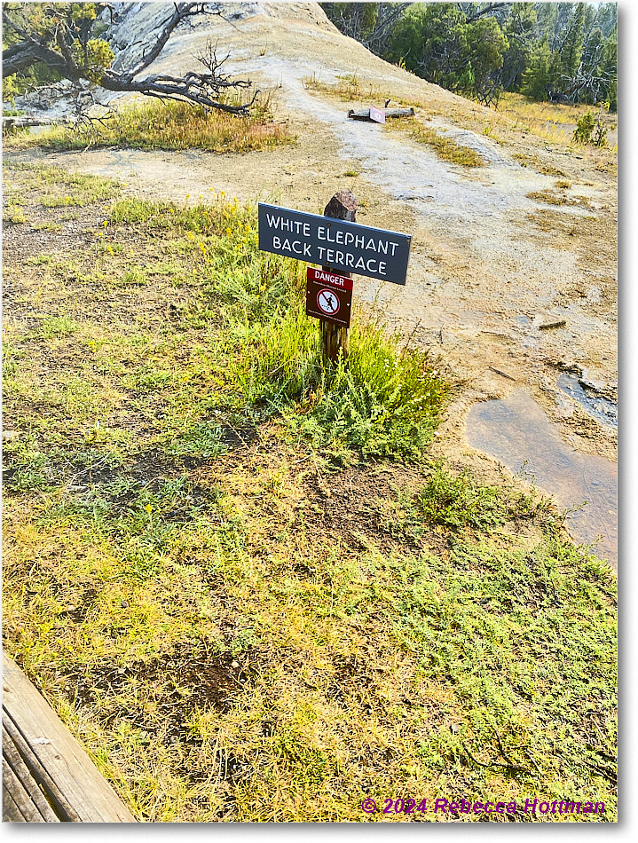 Yellowstone_Jul29Mon_IMG_5226