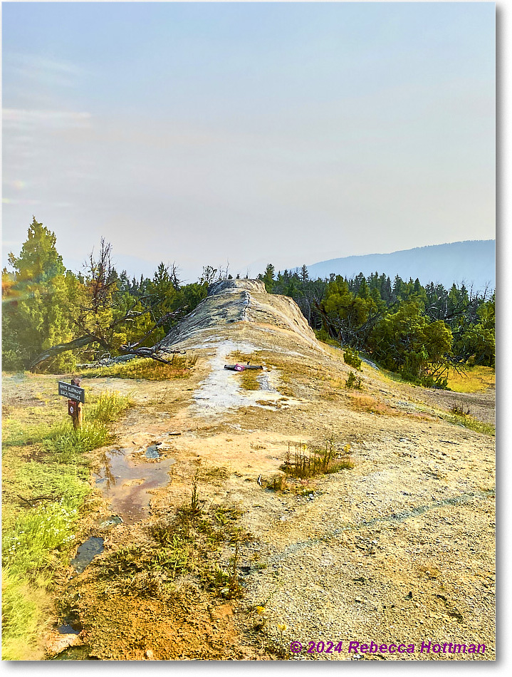 Yellowstone_Jul29Mon_IMG_5227