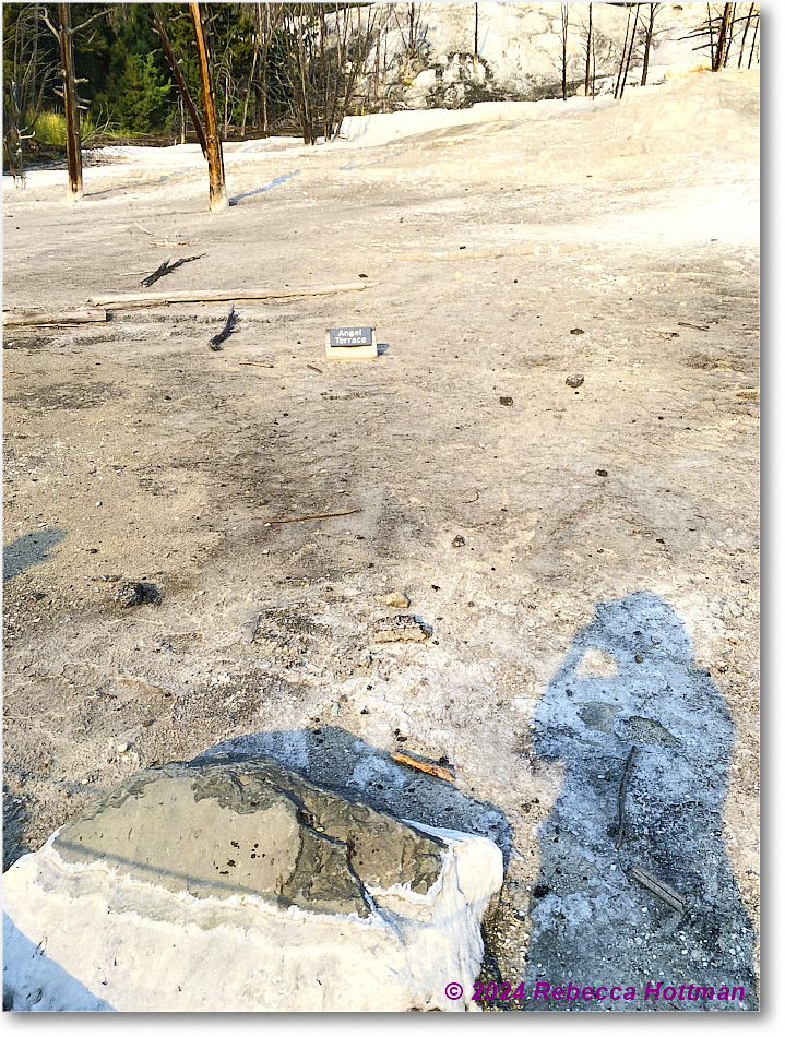 Yellowstone_Jul29Mon_IMG_5229