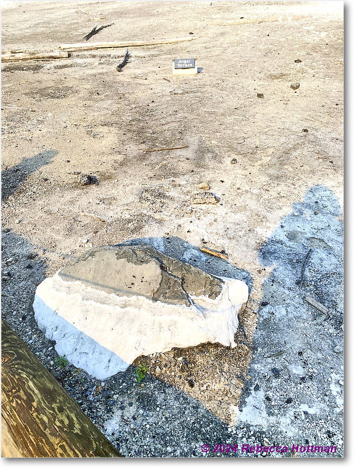 Yellowstone_Jul29Mon_IMG_5230