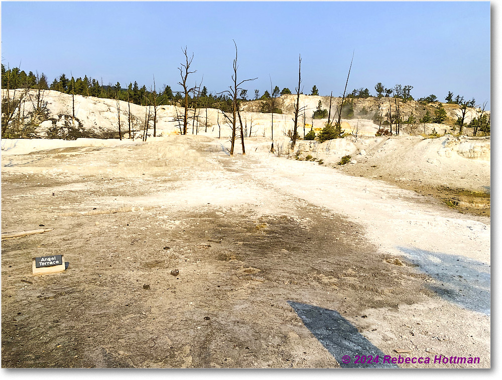 Yellowstone_Jul29Mon_IMG_5231