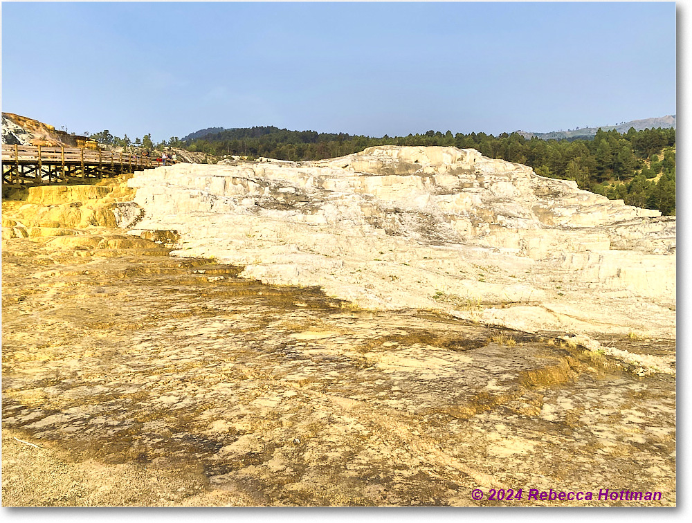 Yellowstone_Jul29Mon_IMG_5237