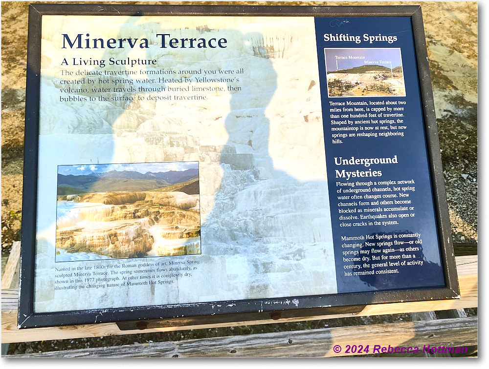 Yellowstone_Jul29Mon_IMG_5239