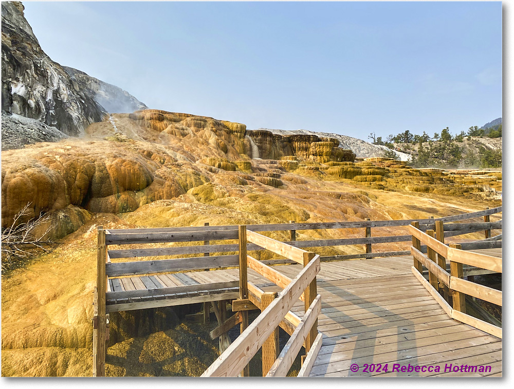 Yellowstone_Jul29Mon_IMG_5242