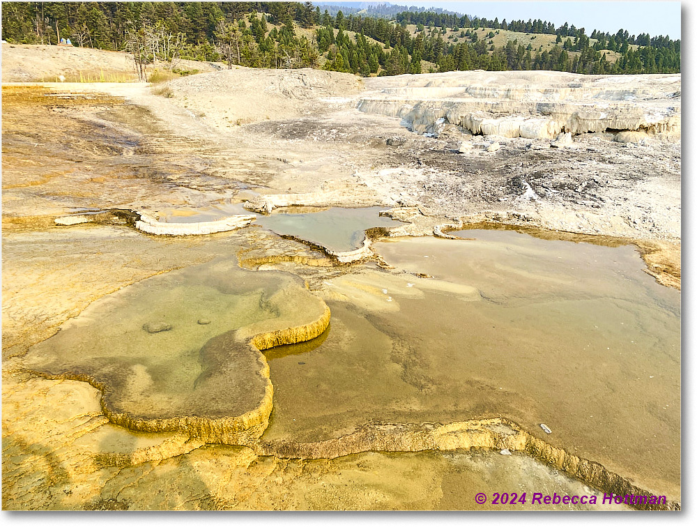 Yellowstone_Jul29Mon_IMG_5243