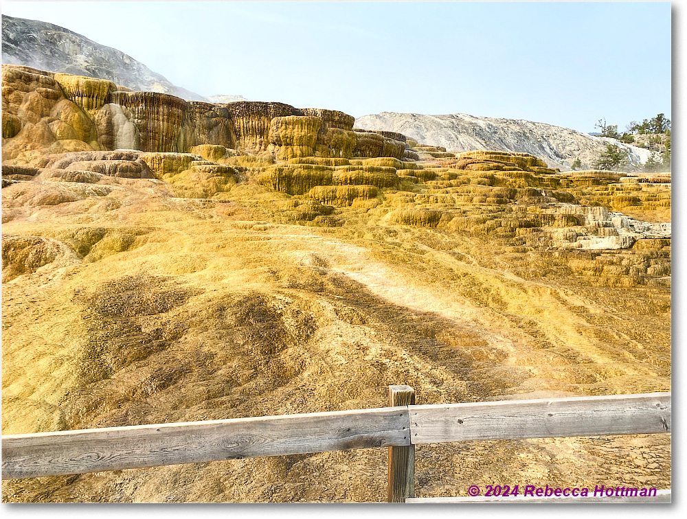 Yellowstone_Jul29Mon_IMG_5245