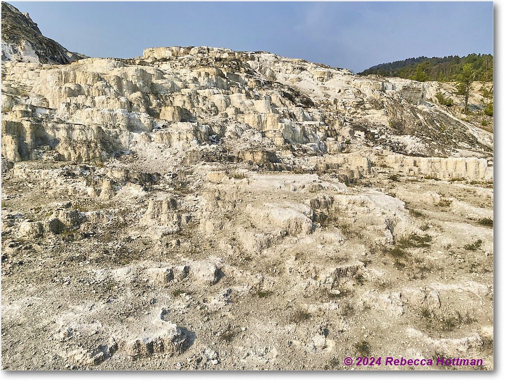 Yellowstone_Jul29Mon_IMG_5255