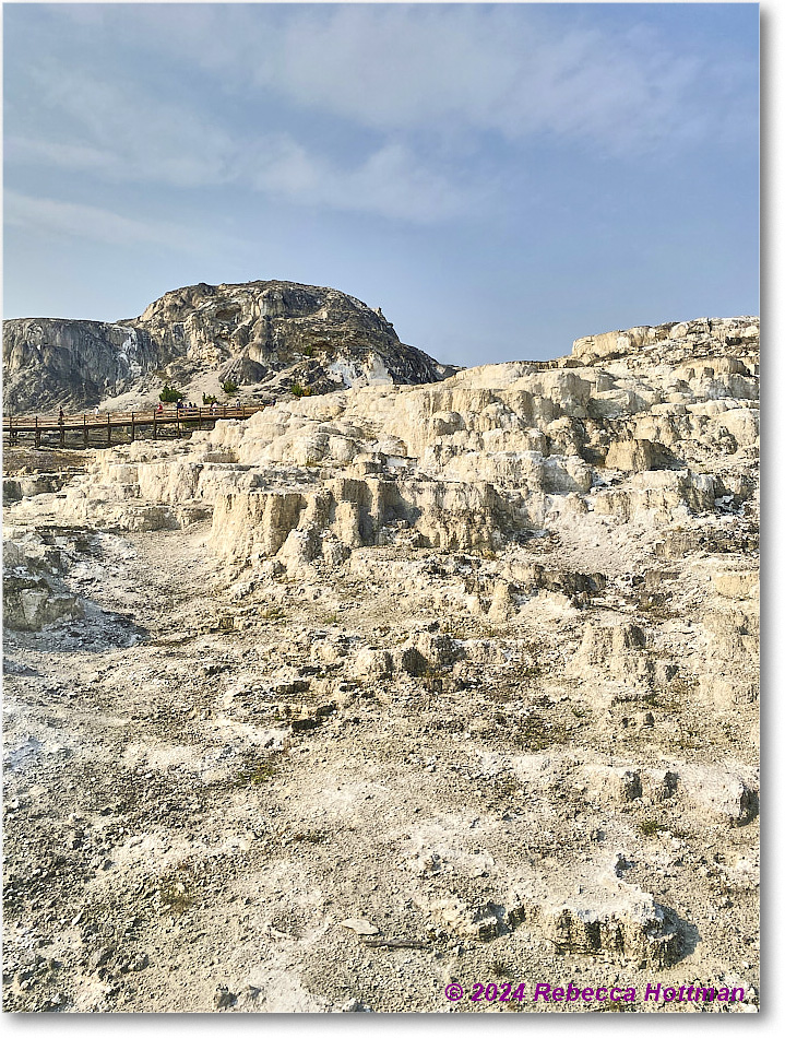 Yellowstone_Jul29Mon_IMG_5257