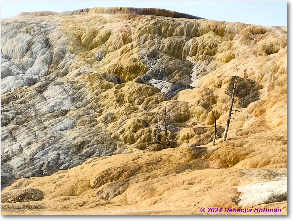 Yellowstone_Jul29Mon_IMG_5263