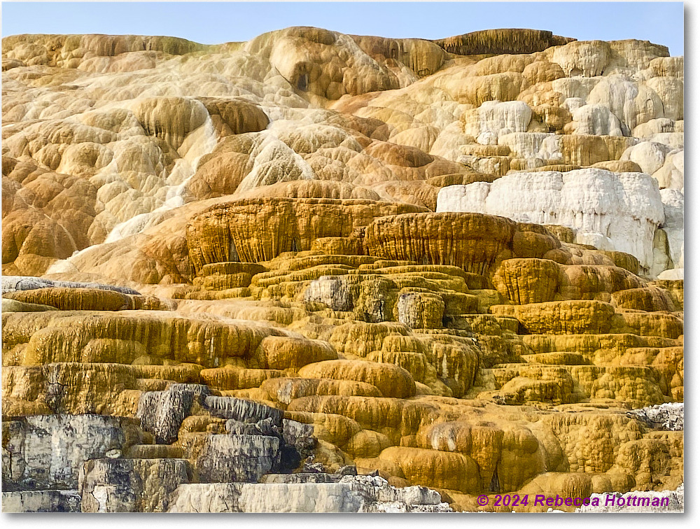 Yellowstone_Jul29Mon_IMG_5265