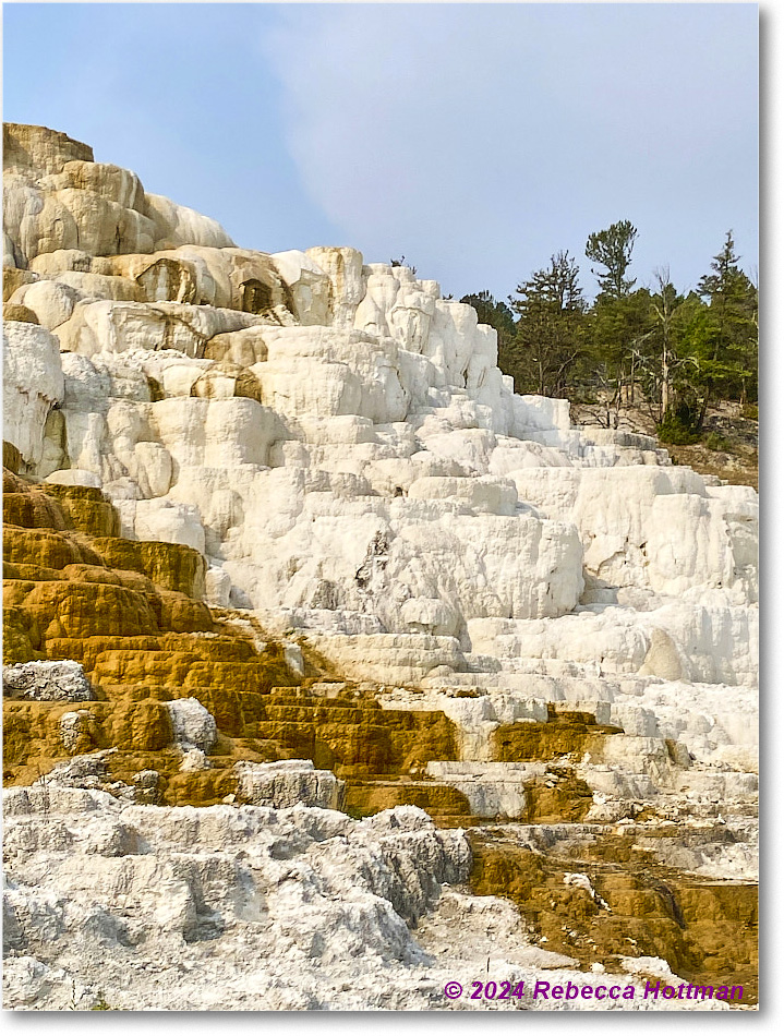 Yellowstone_Jul29Mon_IMG_5266