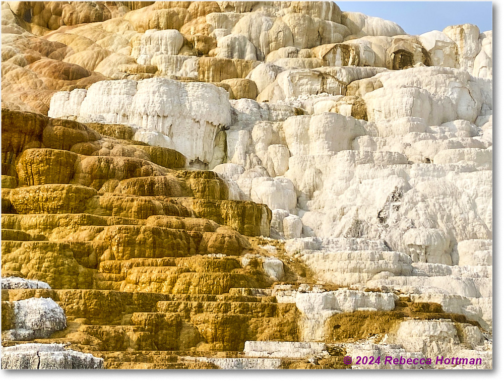 Yellowstone_Jul29Mon_IMG_5267