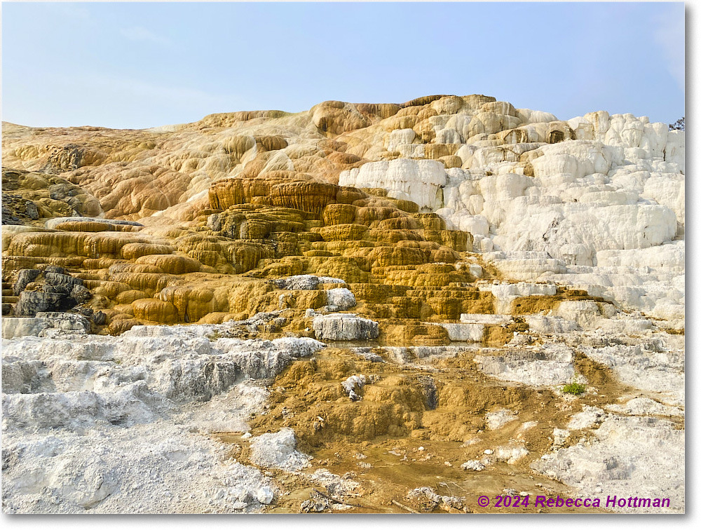 Yellowstone_Jul29Mon_IMG_5269
