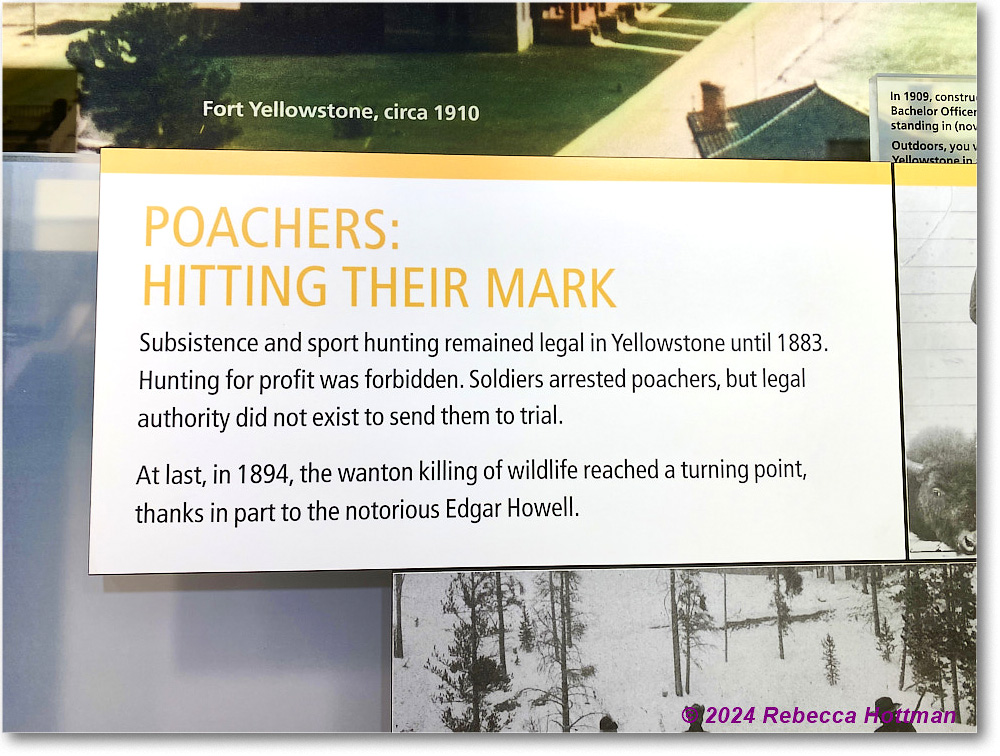 Yellowstone_Jul29Mon_IMG_5270