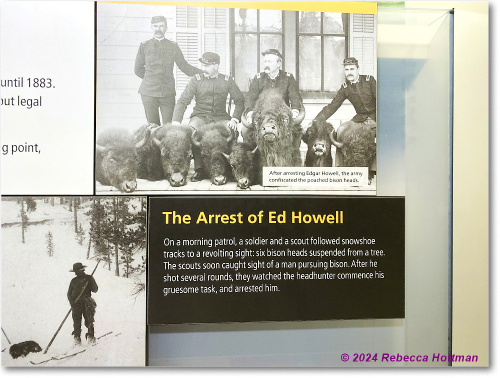 Yellowstone_Jul29Mon_IMG_5271