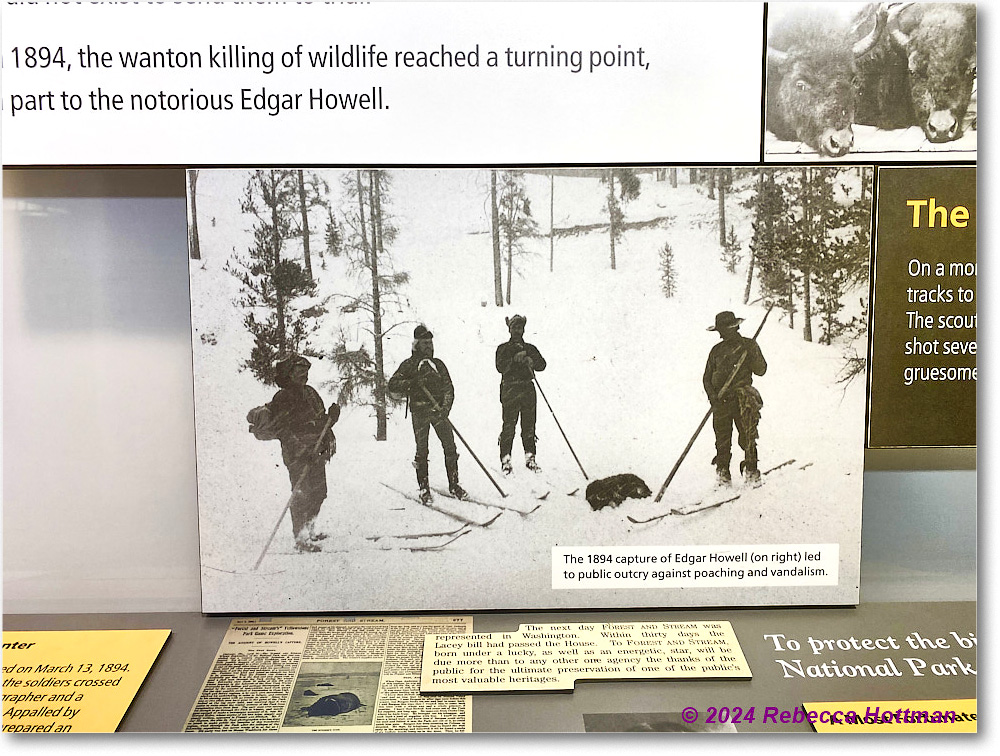 Yellowstone_Jul29Mon_IMG_5272