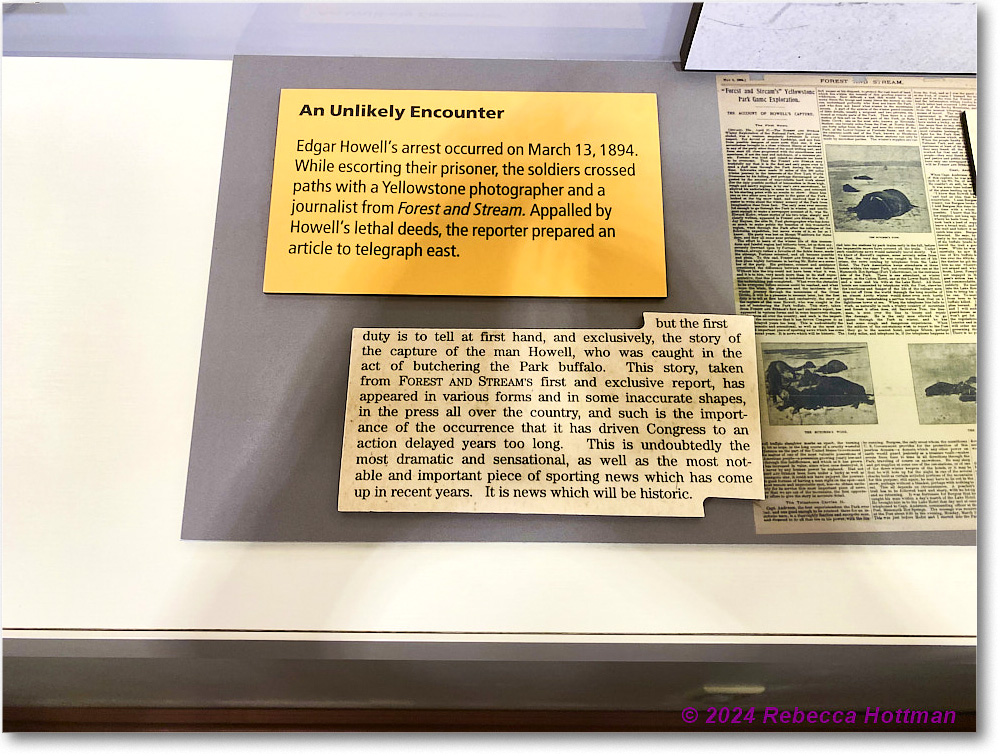 Yellowstone_Jul29Mon_IMG_5273