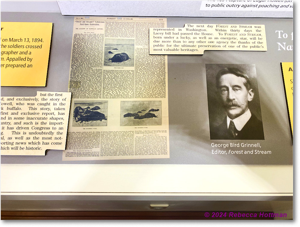 Yellowstone_Jul29Mon_IMG_5274