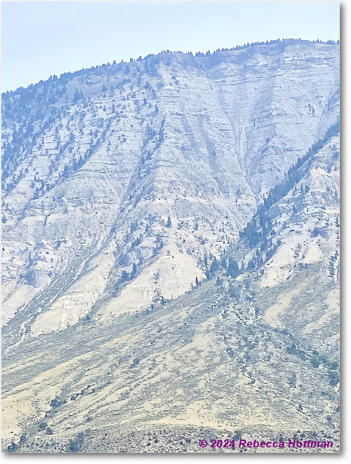 Yellowstone_Jul29Mon_IMG_5293